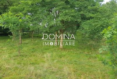 Teren Construcții intravilan de 6843 mp, în Polovragi - 2