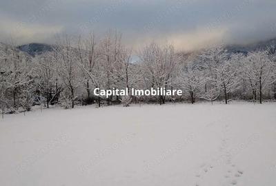 House for sale, 5 Rooms, 180 sqm, Valea Dejani - 10