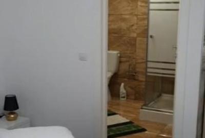 Teren 500 mp si Casuta de Vacanta - 2