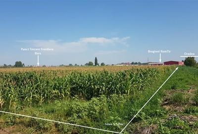 Teren Construcții intravilan de 52001 mp, în Borș - 3