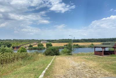 Teren Construcții intravilan de 7744 mp, în Moara Vlăsiei - 2