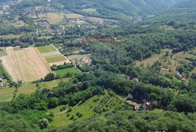 Casă cu 10 camere cu Teren 24700 Mp în Berchez - 10