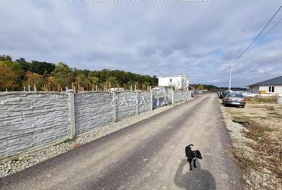 Teren Intravilan (498 mp),situat in Botorogi - Danesti - 11