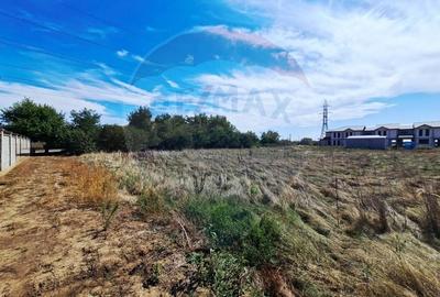 Teren agricol extravilan de 5316 mp, în Aradul Nou - 13