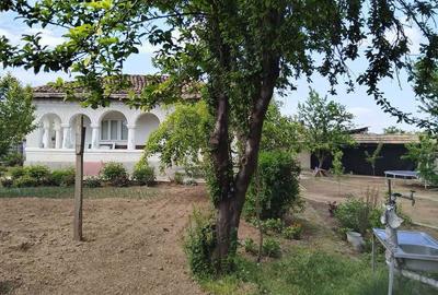 Casă cu 4 camere în Viile - 8