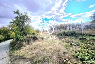 Teren intravilan de 2905 mp, în Bălănești - 4