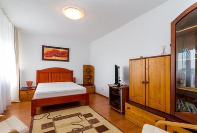 Apartament cu 2 camere semidecomandat, mobilat în Tineretului - 7