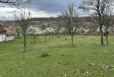 Spațiu comercial, în Boș - 4