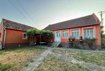 Casă cu 4 camere cu Teren 1980 Mp în Ilteu - 3