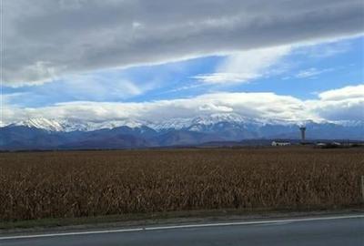 Teren 5000 mp langa E68 - 7