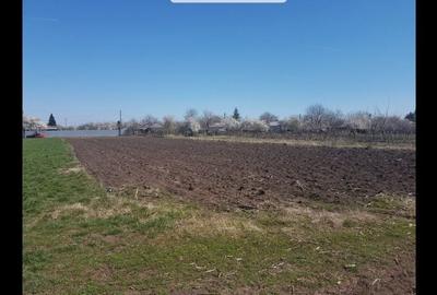 Spațiu comercial, în Plopșoru - 6