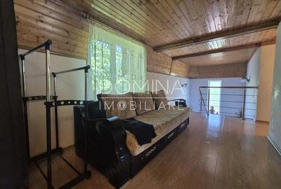 Vanzare proprietate remarcabila situata in zona turistica Runcu - 4