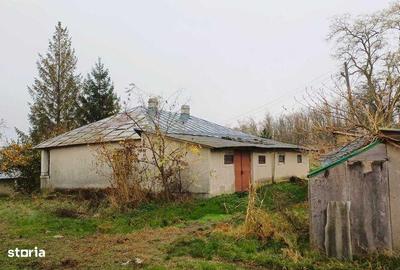 Casă cu 4 camere cu Teren 5300 Mp în Oancea - 5