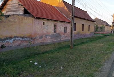 Casă cu Teren 2158 Mp în Comloșu Mare