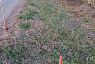 Teren de 6500 mp, în Băcia - 2