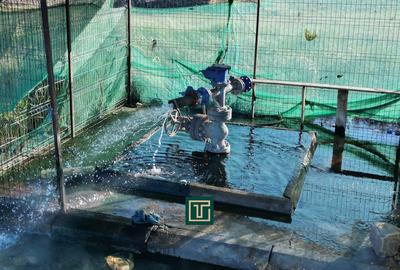 PUT GEOTERMAL NATURAL PE UN TEREN DE 36.476 MP IN SOCODOR, ARAD - 3