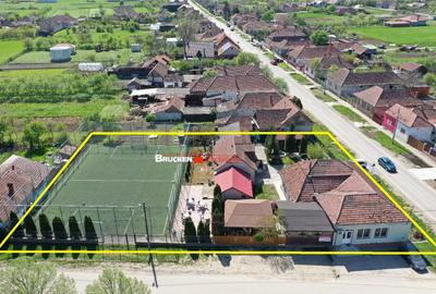 PROPRIETATE CU AFACERE FUNCTIONALA DE - PETREU, LANGA MARGH - 9