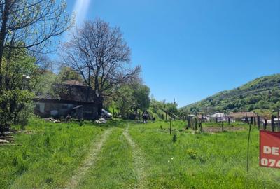 Casă cu 3 camere în Ilva Mică - 8