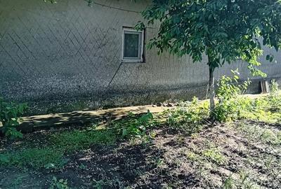 Casă cu Teren 2000 Mp în Mereni - 4