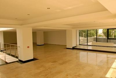 De vanzare cladire comerciala multifunctionala vad deosebit - Ploiesti - 6