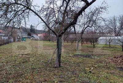 Teren Intravilan ideal pentru investitie, 2497mp, Turda - 6