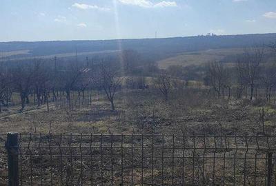 Casă cu 4 camere cu Teren 181 Mp în Central - 4