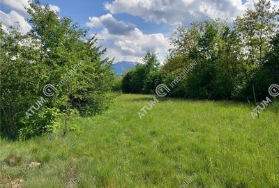 Teren intravilan 2100 mp de vanzare pe Valea Avrigului in Sibiu - 6