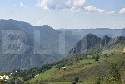 Teren de 4000 mp, în Râmeț - 1