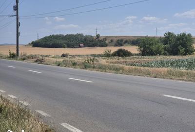 Teren de 7300 mp, în Vințu de Jos - 3