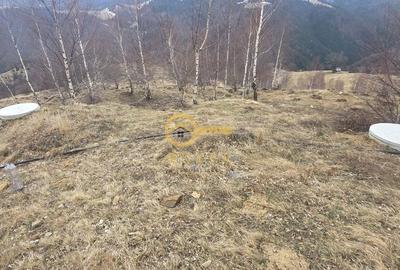 Teren de 2025 mp, în Rășinari - 1