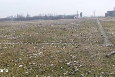 Teren de 15000 mp, în Tinca - 1