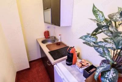 Proprietar, inchiriez apartament 2 camere in Piata Unirii, langa Domul Catolic - 10