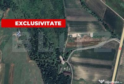 Teren de 5996 mp, în Teiu - 1