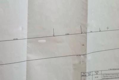 Teren agricol intravilan de 3271 mp, în Valea Lupului - 2