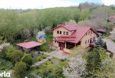 Casă cu 4 camere cu Teren 8807 Mp în Girov - 6