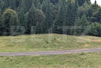 Teren de 600 mp, în Central