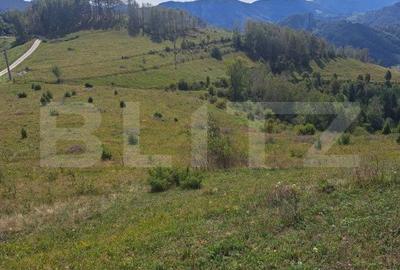 Teren de 4604 mp, în Ponor - 2