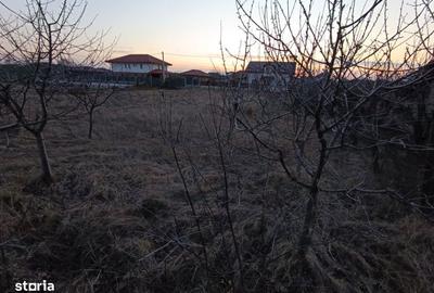 Spațiu comercial, în Valea Ursului - 3