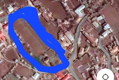 Teren de 3600 mp, în Plosca - 7