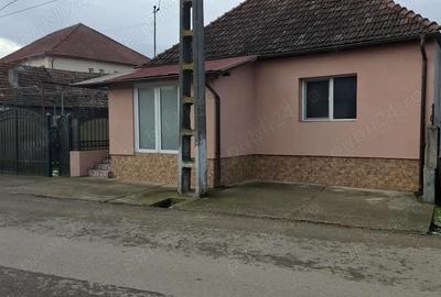 Casă în Vadu Crișului - 2