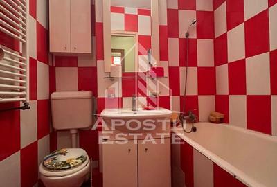 Apartament cu 3 camere semidecomandat, mobilat în Șagului - 1