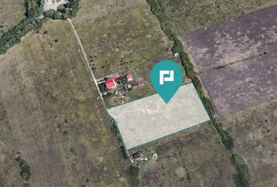 Teren de 11502mp cu PUZ in lucru Ghiroda,Timi?oara Teren de 11502mp cu PUZ in lucru Ghiroda,Timi?oara - 2