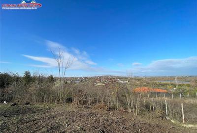 Teren de zona Bididia Tulcea - 2