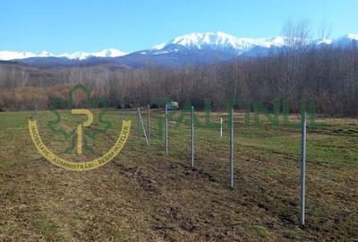 Teren de 1737 mp, în Chirpăr - 5