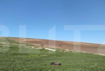 Teren 3600 mp, la DE 85, iesire Letcani, utilitati aproape - 1