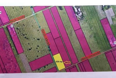 Vând 626mp teren intravilan Sânpetru - zona Livadă - 4
