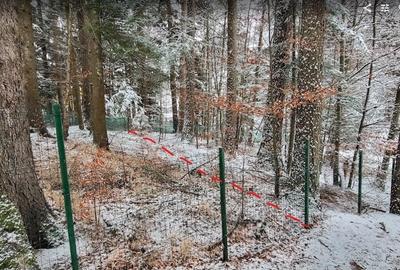 Teren Sinaia/Cumpatu - 9
