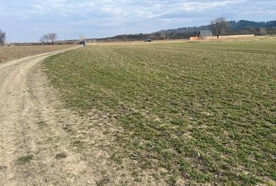 Teren de 2830 mp, în Capu Câmpului - 7