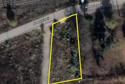 Spațiu comercial, în Băneasa - 1