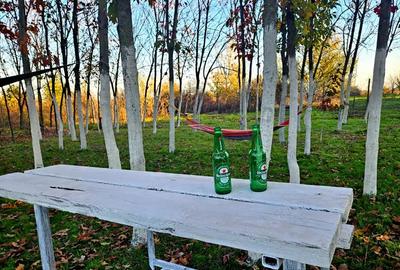 Inchiriez gradina urbana pentru recreere in Cartierul Padurea Baneasa - 4